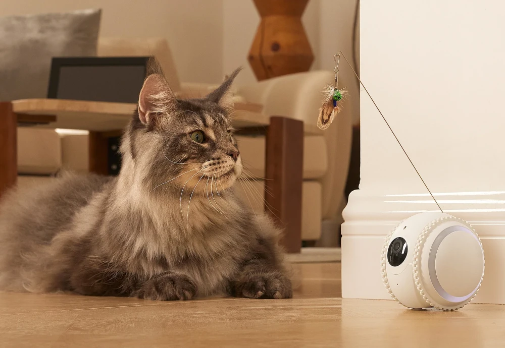 pet robot camera