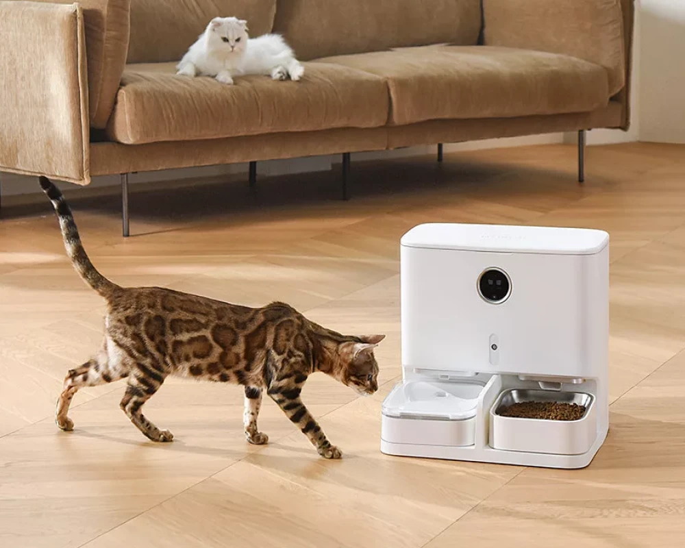 automatic dog feeder and water